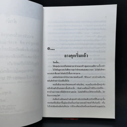 มนุษย์ 100 คุก - คำพูน บุญทวี รูปที่ 9