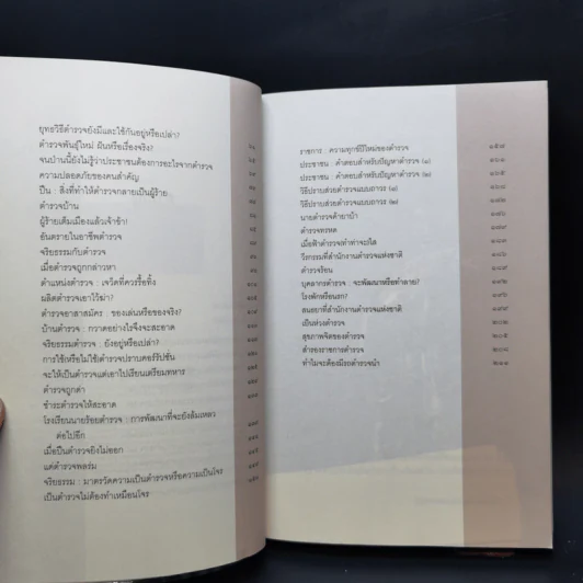 ปฏิรูปตำรวจ ฝันหรือจะเป็นจริง - พลตำรวจเอก วสิษฐ เดชกุญชร รูปที่ 9