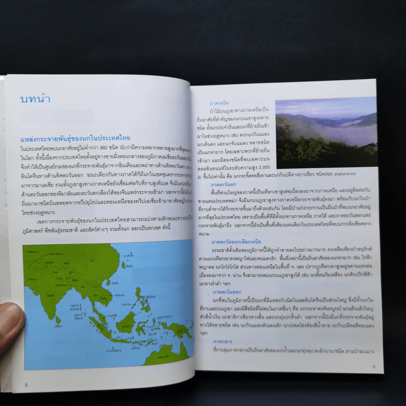 Thailand Bird Guide คู่มือจำแนกชนิดนกด้วยภาพถ่าย - รุ่งโรจน์ จุกมงคล รูปที่ 11
