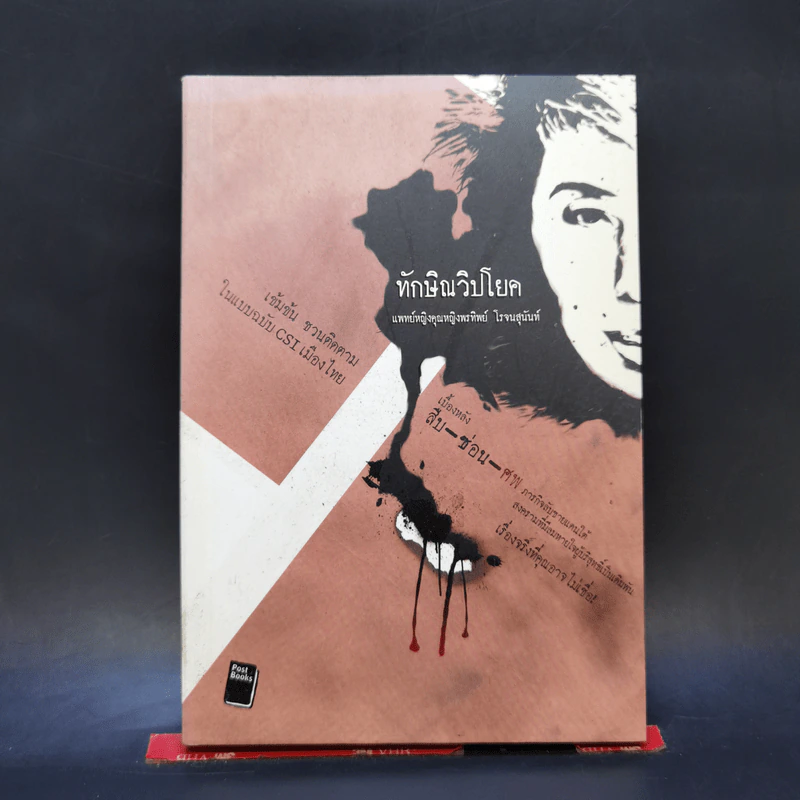 ทักษิณวิปโยค - พ.ญ.คุณหญิง พรทิพย์ โรจนสุนันท์ รูปที่ 1