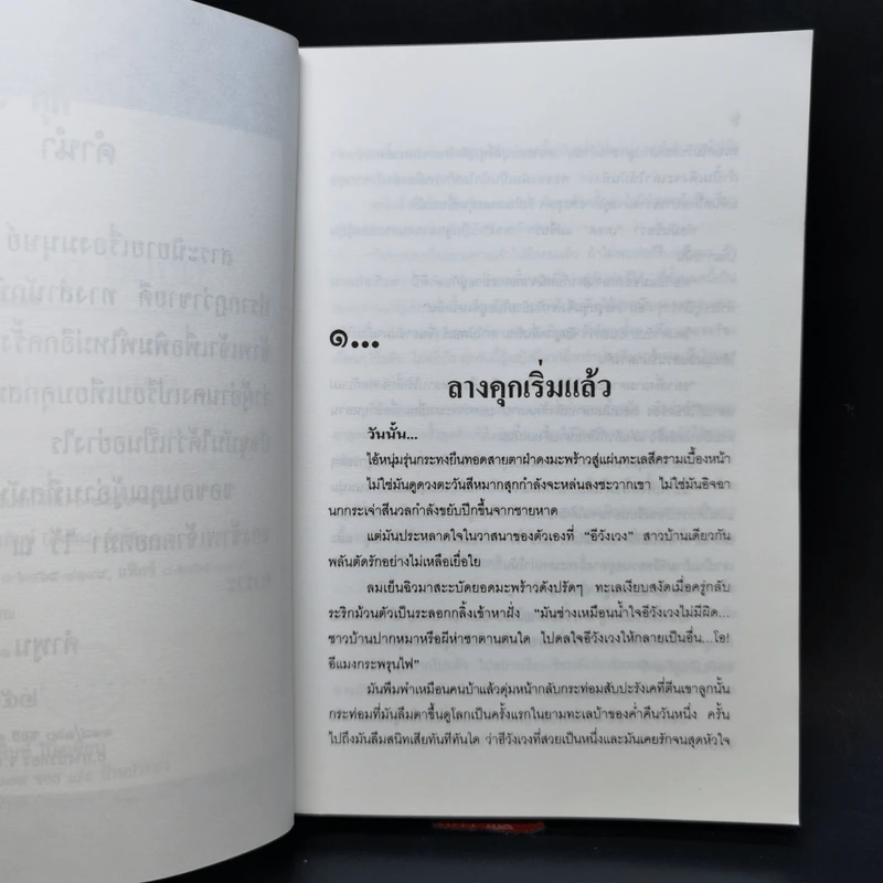 มนุษย์ 100 คุก - คำพูน บุญทวี รูปที่ 9