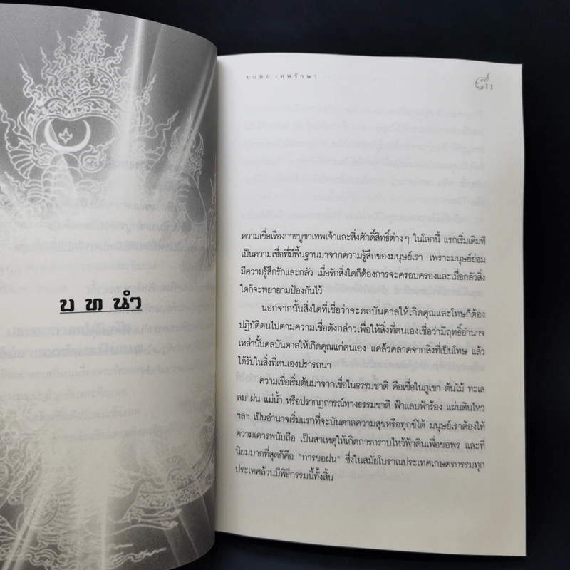 ปาฏิหาริย์แห่งการบูชาพระพิฆเนศ - อมตะ เทพรักษา รูปที่ 10