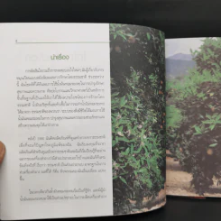 วิธีการทำ สปา รูปที่ 9