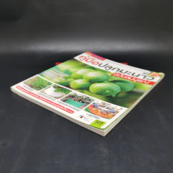 คู่มือปลูกมะนาว ฉบับสมบูรณ์ รูปที่ 6