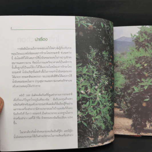 วิธีการทำ สปา รูปที่ 9