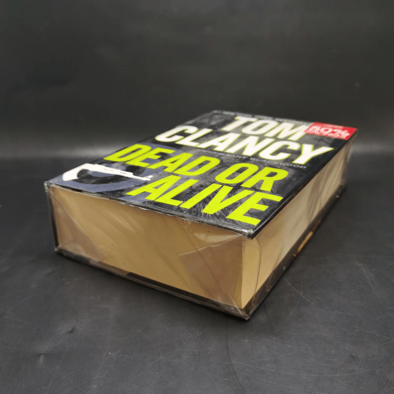 Dead or Alive - Tom Clancy รูปที่ 7