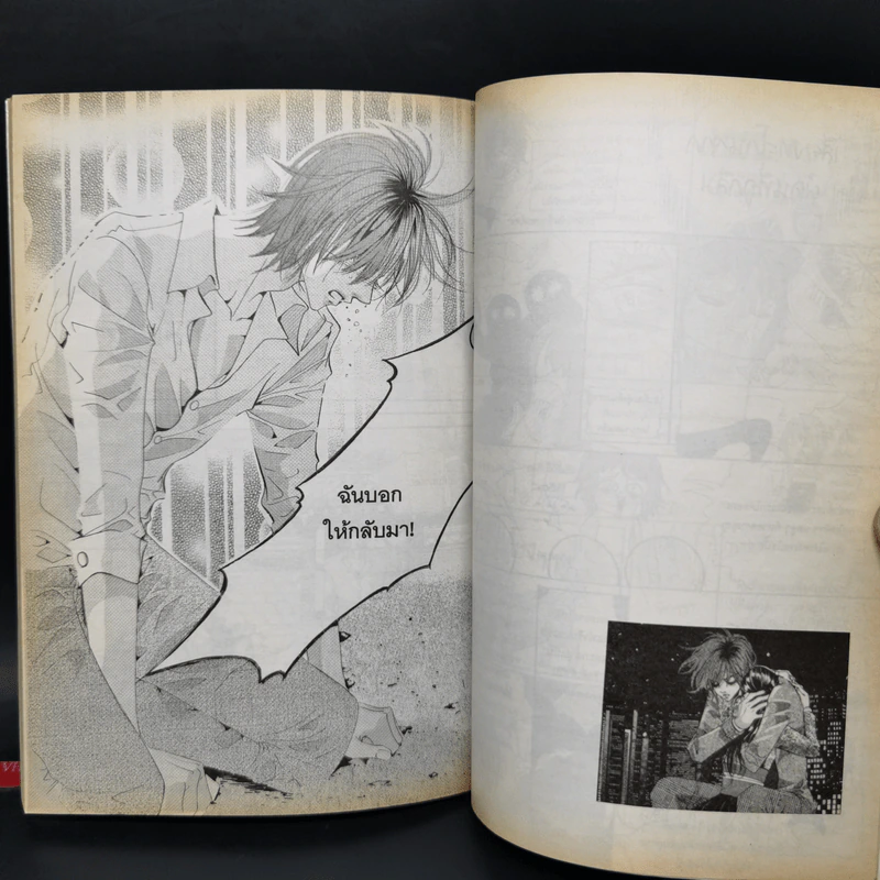 หนังสือการ์ตูน เจ้าหญิงจอมจุ้นกับรักวุ่นๆในวัง เล่ม 1-16 รูปที่ 18