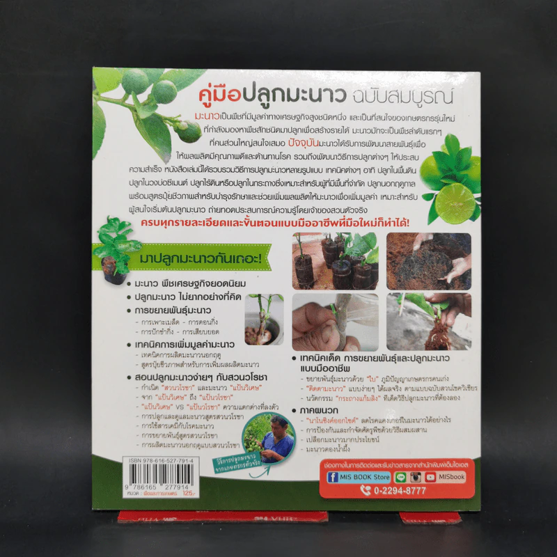 คู่มือปลูกมะนาว ฉบับสมบูรณ์ รูปที่ 2
