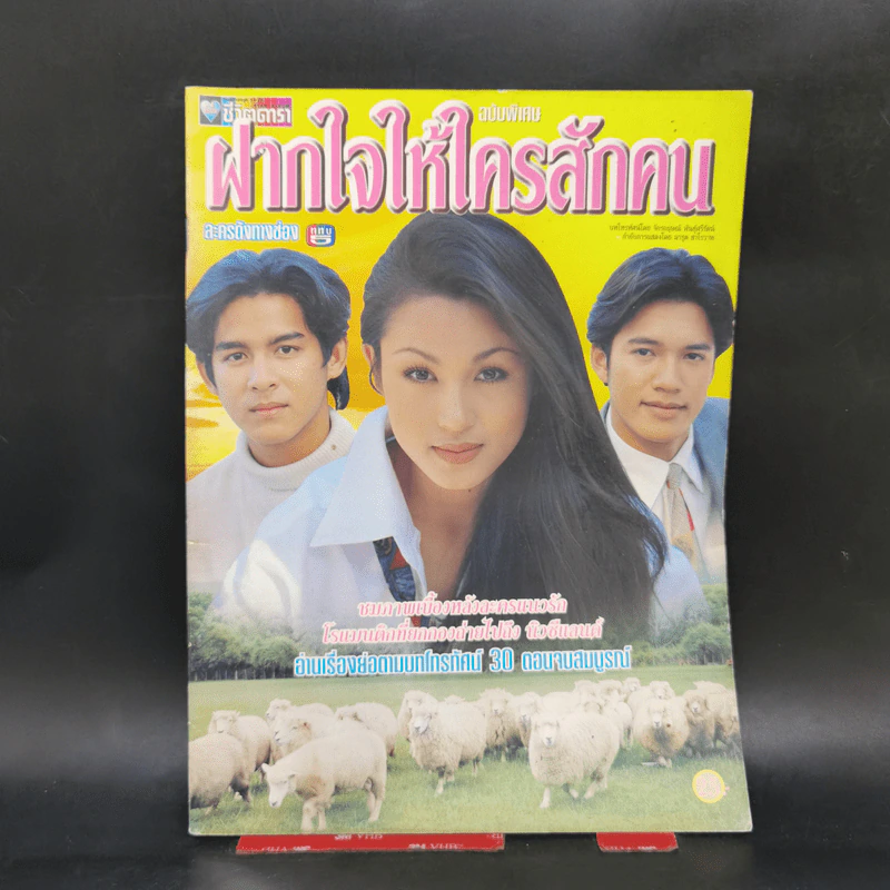 เรื่องย่อละคร ฝากไว้ให้ใครสักคน ชีวิตดารา รูปที่ 1