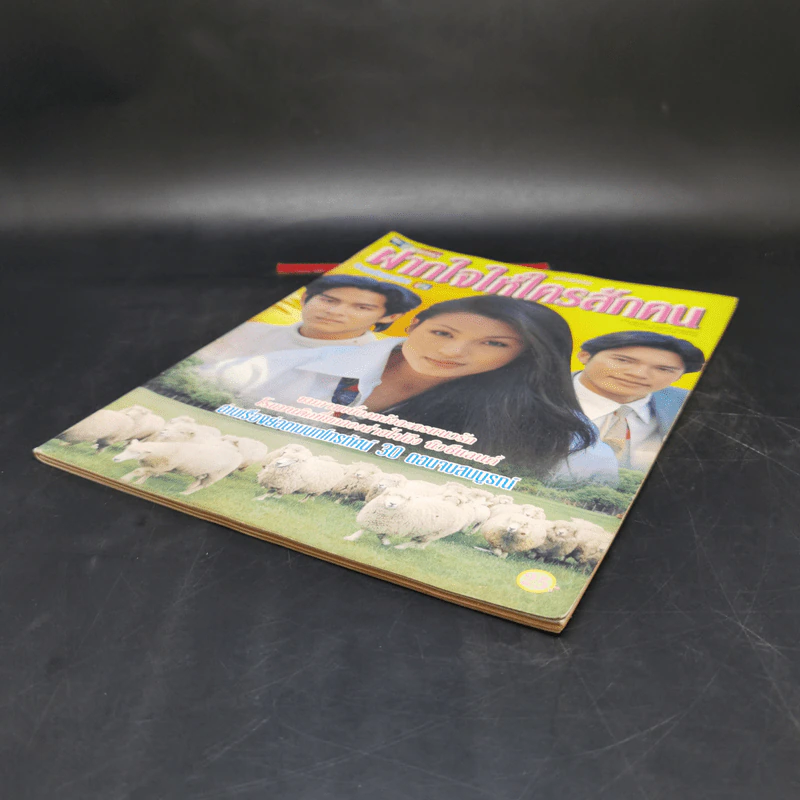 เรื่องย่อละคร ฝากไว้ให้ใครสักคน ชีวิตดารา รูปที่ 7