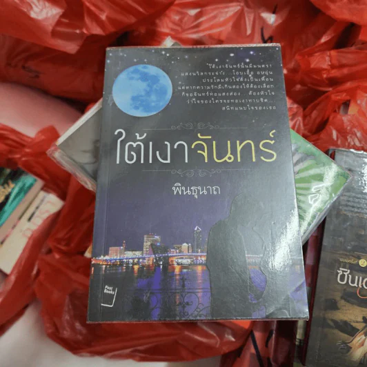 ใต้เงาจันทร์ - พินธุนาถ รูปที่ 1