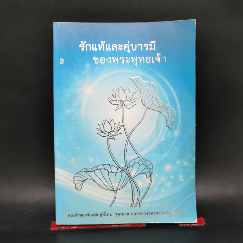 รักแท้และคู่บารมีของพระพุทธเจ้า รูปที่ 1