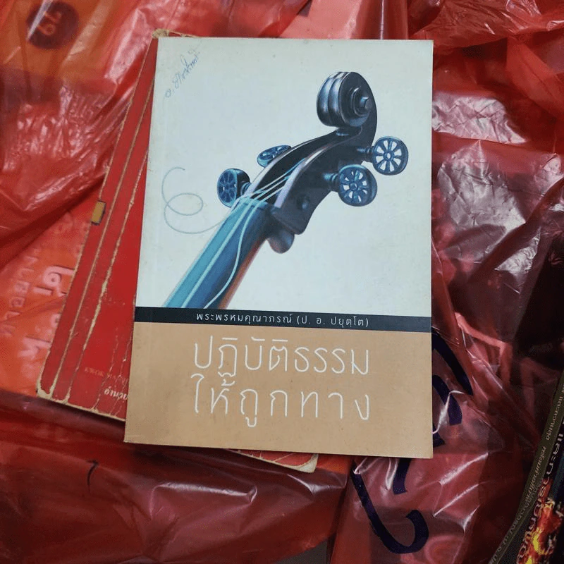ปฏิบัติธรรมให้ถูกทาง - พระพรหมคุณากรณ์ รูปที่ 1