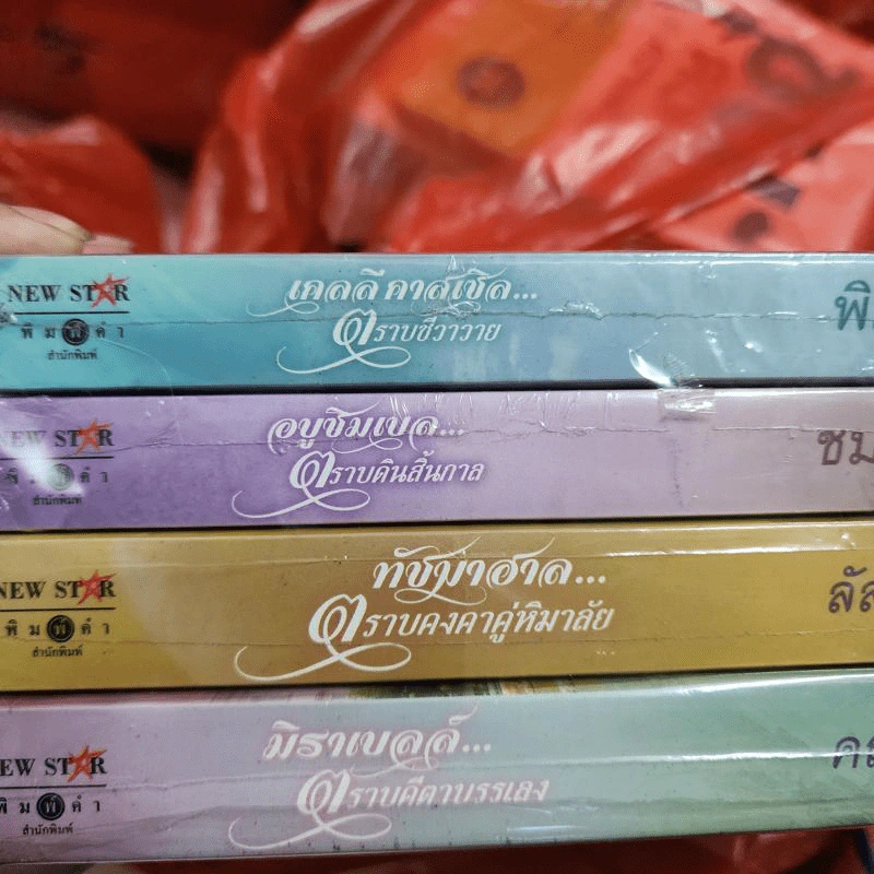 นิยายชุด แด่..เธอที่รัก 4 เล่ม : ทัชมาฮาล ตราบคงคาคู่หิมาลัย, มิลาเบลล์, อบูซิลเบล, เคลลีแคสเซิล รูปที่ 4