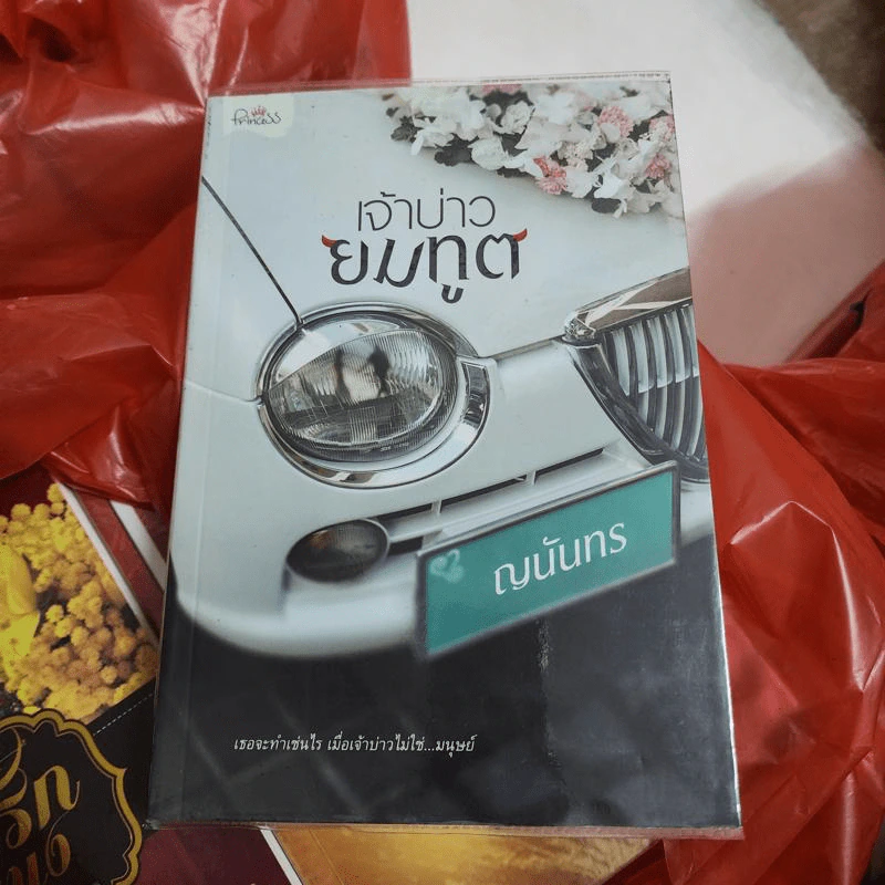 เจ้าบ่าวยมทูต - ญนันทร รูปที่ 1