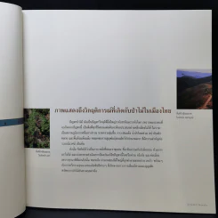 Boxset คืนผืนป่าให้แผ่นดิน โครงการปลูกป่าถาวรเฉลิมพระเกียรติพระบาทสมเด็จพระเจ้าอยู่หัว รูปที่ 13