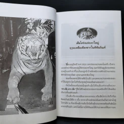 ชะตากรรมสัตว์ป่าเขาใหญ่จากอดีตถึงปัจจุบัน - เปลว ปัทมา รูปที่ 12