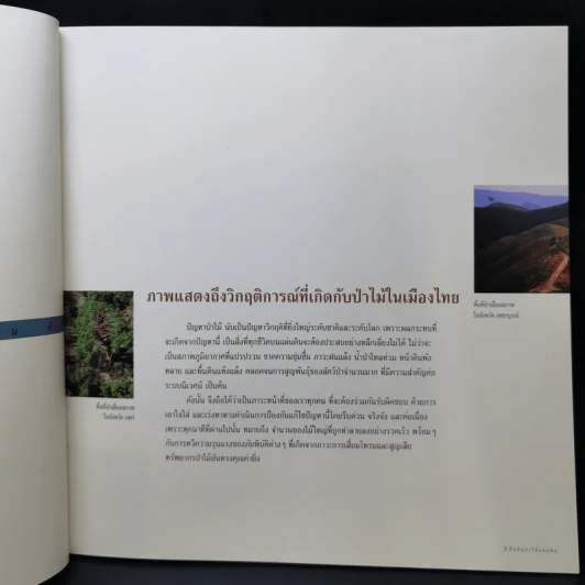 Boxset คืนผืนป่าให้แผ่นดิน โครงการปลูกป่าถาวรเฉลิมพระเกียรติพระบาทสมเด็จพระเจ้าอยู่หัว รูปที่ 13