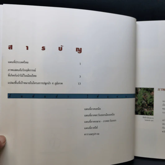 Boxset คืนผืนป่าให้แผ่นดิน โครงการปลูกป่าถาวรเฉลิมพระเกียรติพระบาทสมเด็จพระเจ้าอยู่หัว รูปที่ 12