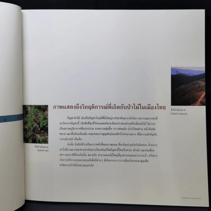 Boxset คืนผืนป่าให้แผ่นดิน โครงการปลูกป่าถาวรเฉลิมพระเกียรติพระบาทสมเด็จพระเจ้าอยู่หัว รูปที่ 13