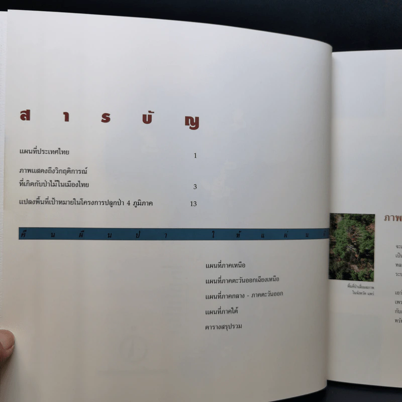 Boxset คืนผืนป่าให้แผ่นดิน โครงการปลูกป่าถาวรเฉลิมพระเกียรติพระบาทสมเด็จพระเจ้าอยู่หัว รูปที่ 12