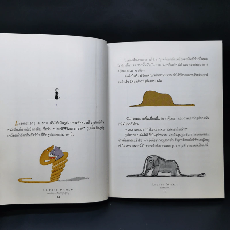 วรรณกรรมอมตะระดับโลก เจ้าชายน้อย - Antoine de Saint-Exupery (อองตวน เดอ แซงเตก-ซูเปรี) รูปที่ 12