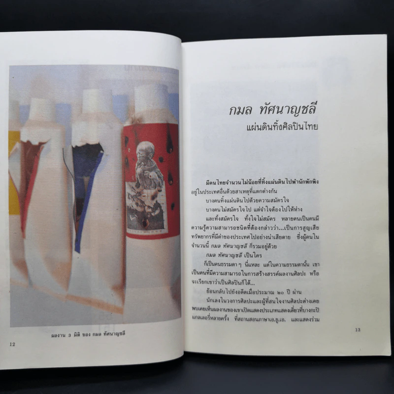 สีสันและความงาม - อำนาจ เย็นสบาย รูปที่ 12
