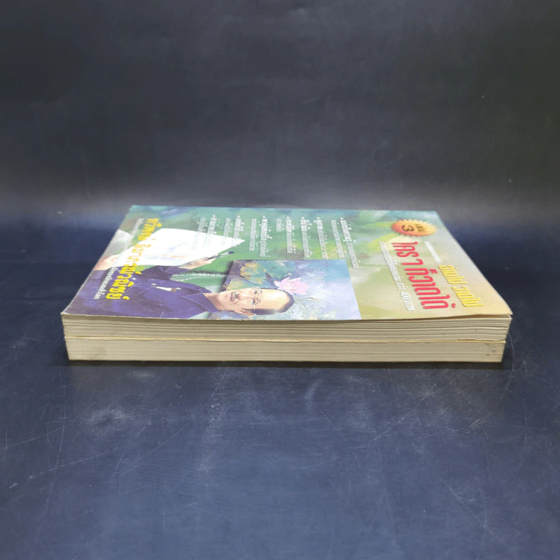 อ่านไป วาดไป ใครๆก็วาดได้ เล่ม 1,3 - ทวีพงษ์ ลิมาภรณ์วณิชย์ รูปที่ 5