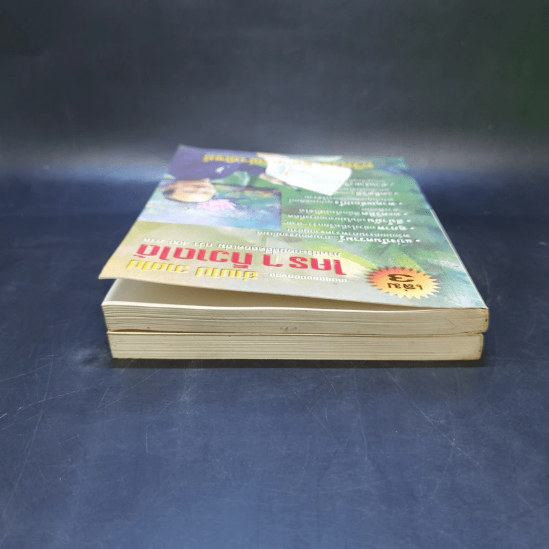 อ่านไป วาดไป ใครๆก็วาดได้ เล่ม 1,3 - ทวีพงษ์ ลิมาภรณ์วณิชย์ รูปที่ 6