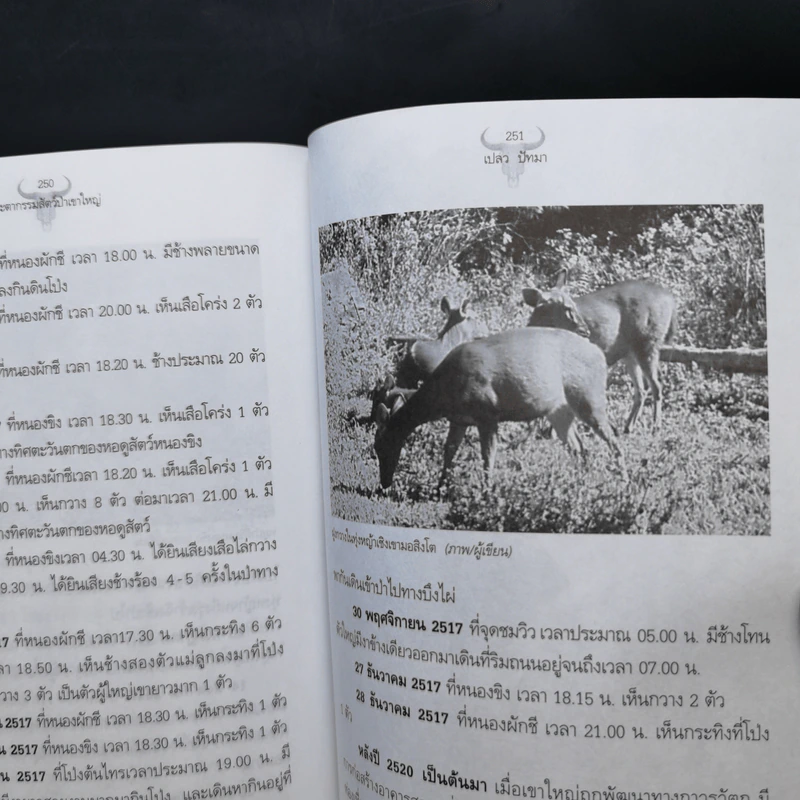 ชะตากรรมสัตว์ป่าเขาใหญ่จากอดีตถึงปัจจุบัน - เปลว ปัทมา รูปที่ 13