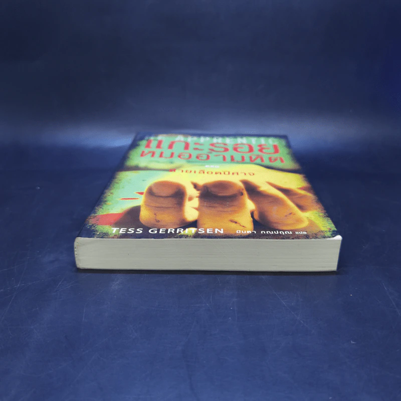 แกะรอยหมออำมหิต ตอน สายเลือดปีศาจ - Tess Gerritsen รูปที่ 4
