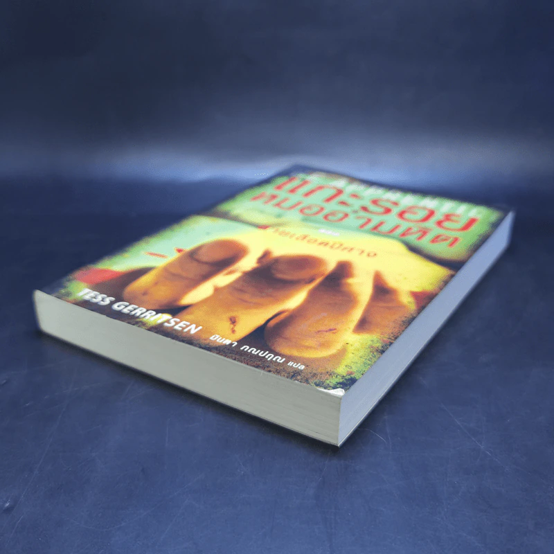 แกะรอยหมออำมหิต ตอน สายเลือดปีศาจ - Tess Gerritsen รูปที่ 7