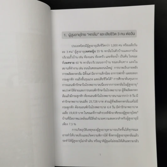 บ้านไม่ปลอดภัยวัยเกษียณ - ไตรรัตน์ จารุทัศน์ รูปที่ 11