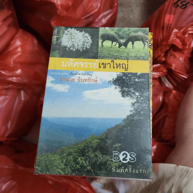 มหัศจรรย์เขาใหญ่ - อำนวย อินทรักษ์ รูปที่ 1