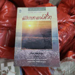 แสงทองแห่งชีวิต - อ้อม ประนอม รูปที่ 1
