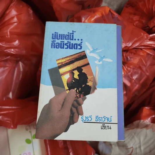 นับแต่นี้คือนิรันดร์ - รุ่งรวี ธีราวัจน์ รูปที่ 1