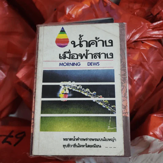 น้ำค้างเมื่อฟ้าสาง Morning Dews รูปที่ 1