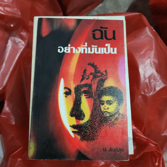 ฉันอย่างที่มันเป็น - บ.สันติสุข รูปที่ 1