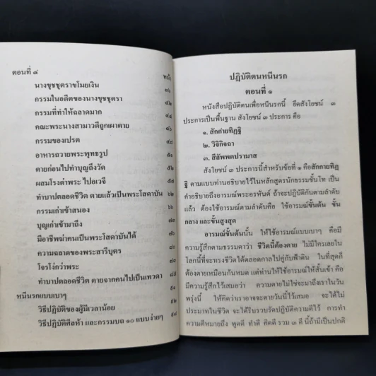 หนีนรก - พระราชพรหมยาน รูปที่ 11