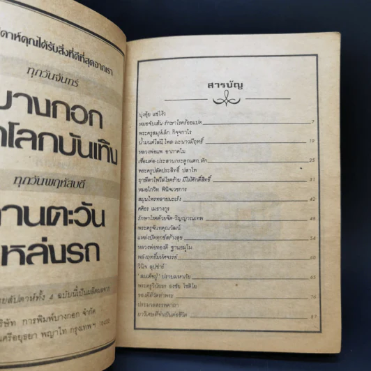 ทำเนียบพระอาจารย์รักษาโรคทางพลังจิต-คาถา สมุนไพร เล่ม 3 - ปรมัตถ์ รูปที่ 8