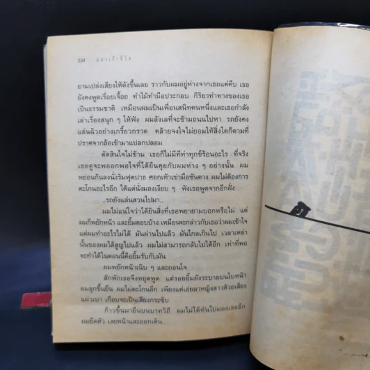 แมวเก้าชีวิต - วิภาส ศรีทอง รูปที่ 11