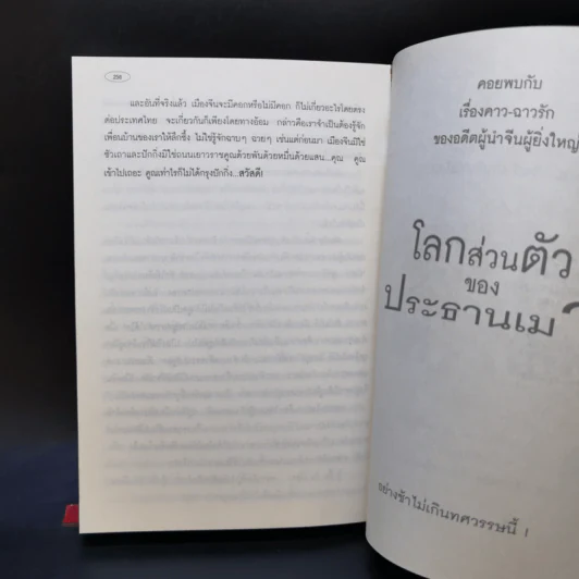 ถนนฉางอาน - แดง ใบเล่ รูปที่ 10