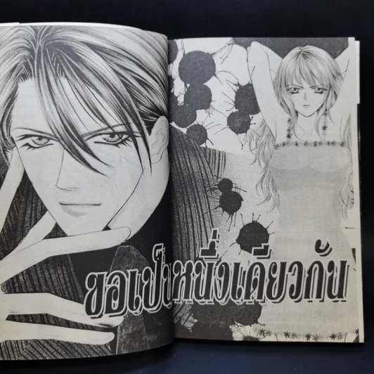 ขอเป็นหนึ่งเดียวกัน - Shinjo Mayu รูปที่ 8