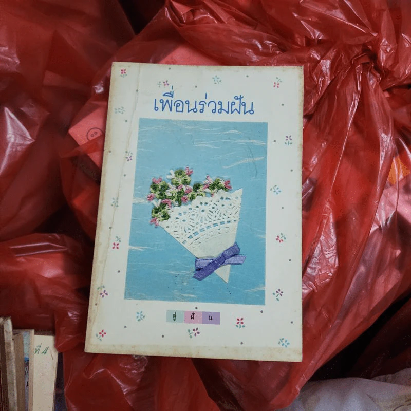 สู่ฝัน ฉบับที่ 15 เพื่อนร่วมฝัน รูปที่ 1