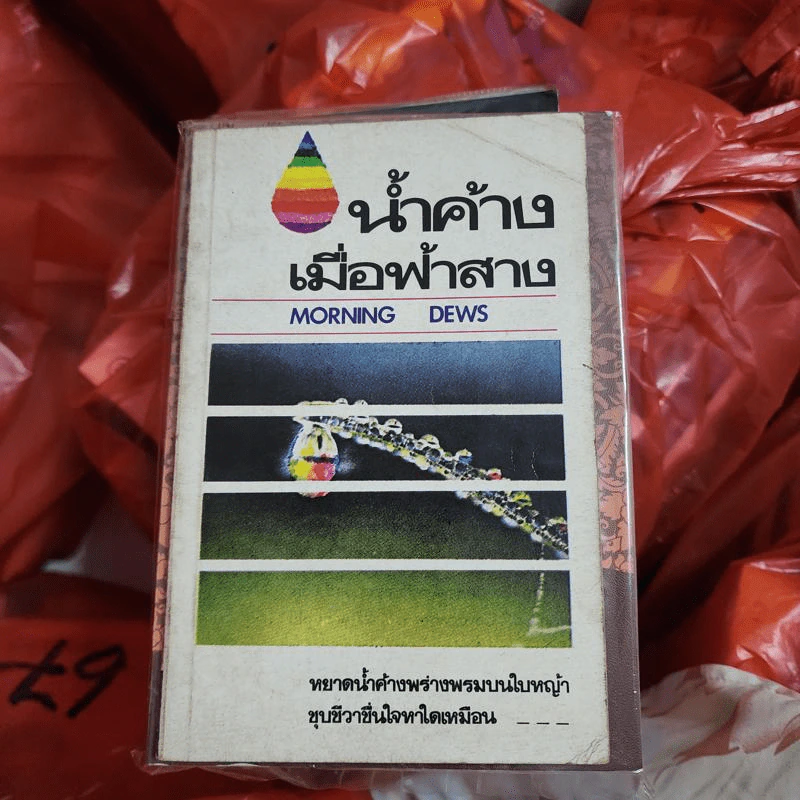 น้ำค้างเมื่อฟ้าสาง Morning Dews รูปที่ 1