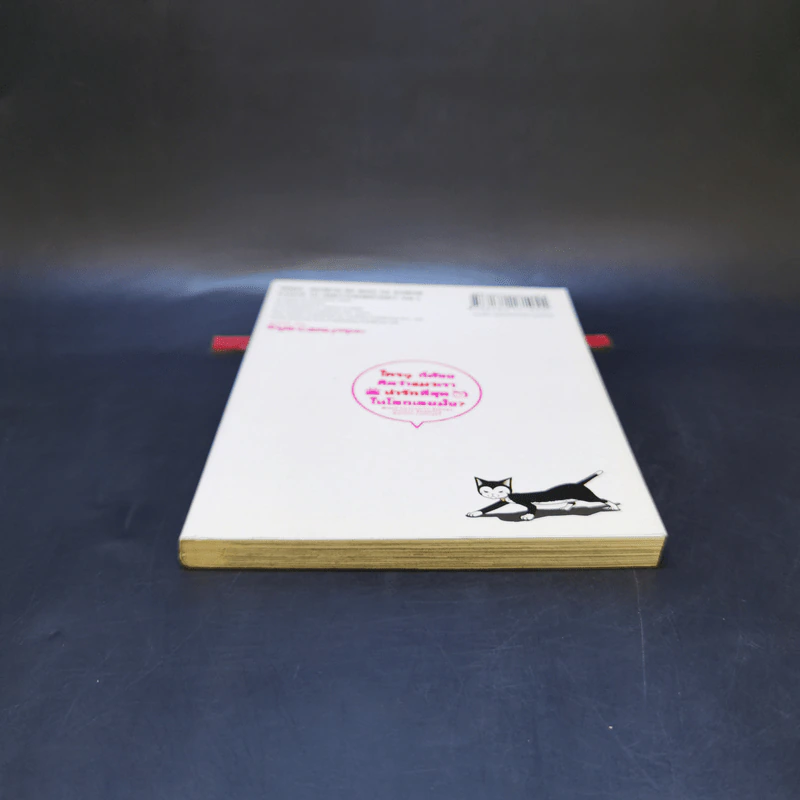 ใครๆก็ต้องคิดว่าแมวเราน่ารักที่สุดในโลกเลยมั้ง? เล่ม 1 รูปที่ 4