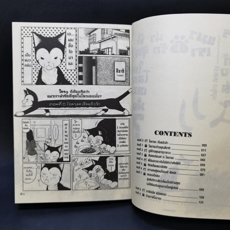 ใครๆก็ต้องคิดว่าแมวเราน่ารักที่สุดในโลกเลยมั้ง? เล่ม 1 รูปที่ 8