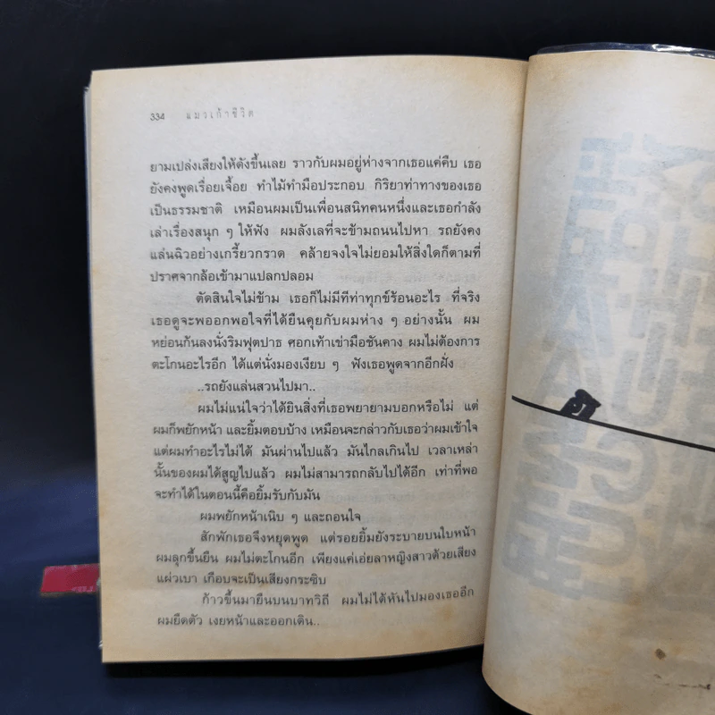 แมวเก้าชีวิต - วิภาส ศรีทอง รูปที่ 11