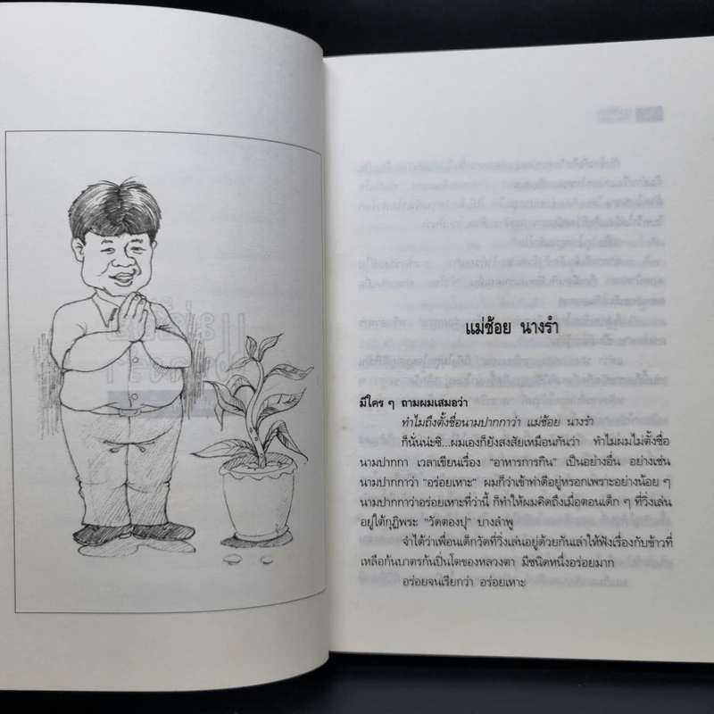 แม่ช้อยนางรำ เปิปพิสดาร - สันติ เศวตวิมล รูปที่ 10