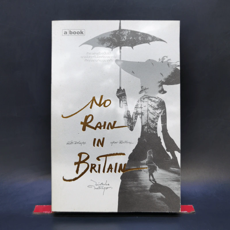 ไม่มีฝนในอังกฤษ : No Rain in Britain - ทรงศีล ทิวสมบุญ, กฤติการ ชัยกล้าหาญ รูปที่ 1